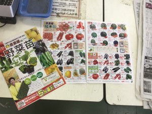 春の野菜苗カタログ配布始まりました(^_^)