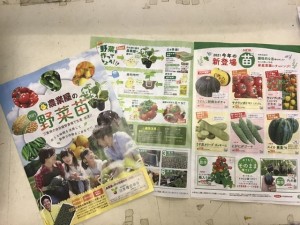 春の野菜苗カタログ配布中！！