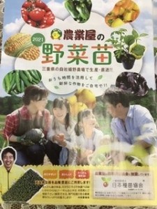 野菜苗カタログ　配布スタート！