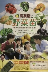 【春の野菜苗カタログ】配布中！！
