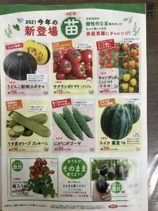 春の野菜苗　カタログ配布開始！