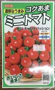 ?トマトの種のご紹介?