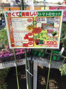 お手軽プランター栽培！トマトを家庭菜園で！