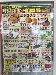 秋ジャガイモ種芋予約受付中＆糖度コンテスト開催中！