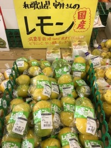 国産レモン　マイヤーレモン　入荷中！