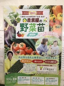 野菜苗カタログ配布スタート！！