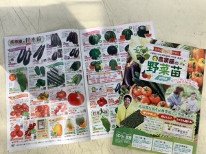 野菜苗カタログ配布中！
