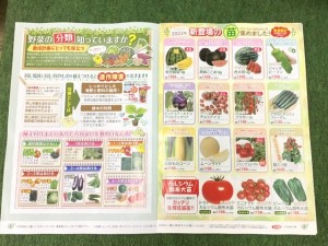 春の野菜苗のカタログ配布開始のお知らせ！！