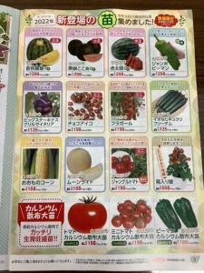 春の野菜苗カタログ　配布開始！
