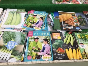 野菜苗カタログ配布スタート